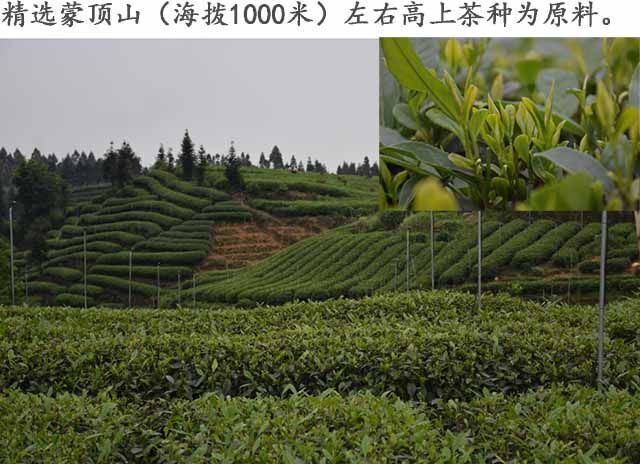 Sichuan Old Brand Ya'an Tibetan collection Tea 黑茶雅安藏茶叶藏黑砖400g低氟 特级优级砖茶
