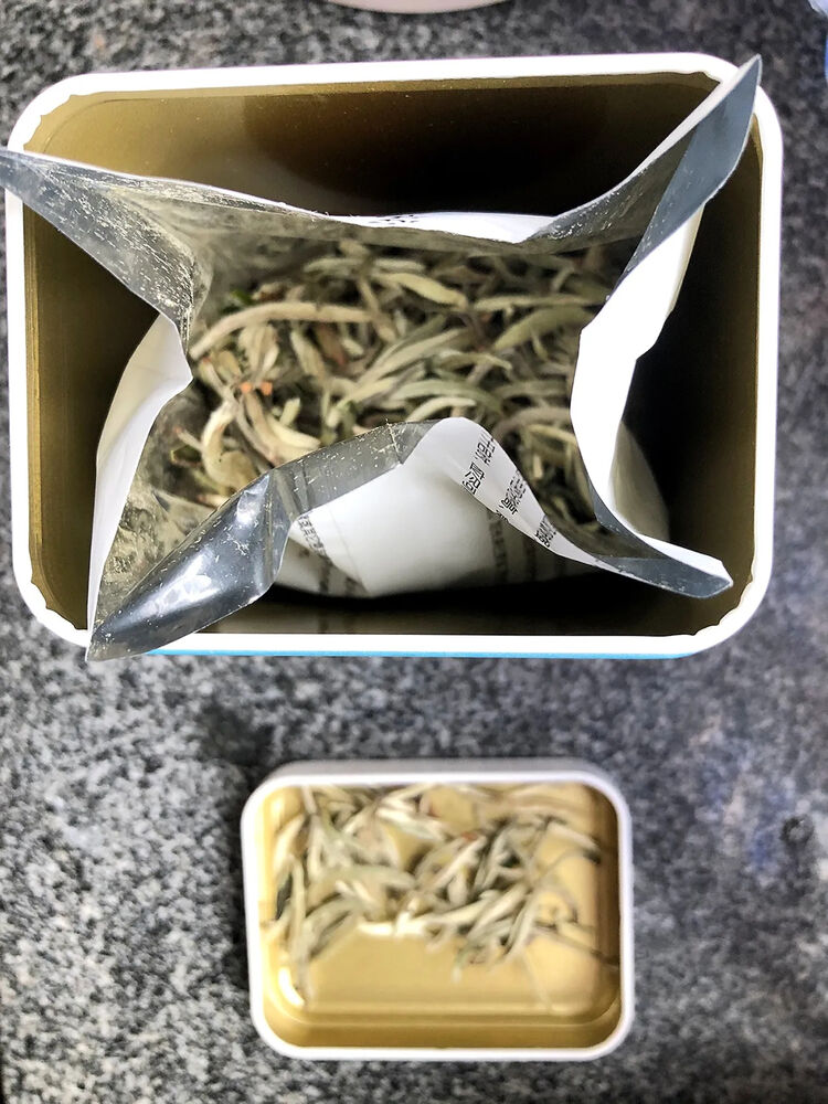 Authentic Fujian White Tea 2023明前头采新茶/正宗白茶福建白毫银针/特级高山荒野白豪银针罐装 50g/罐