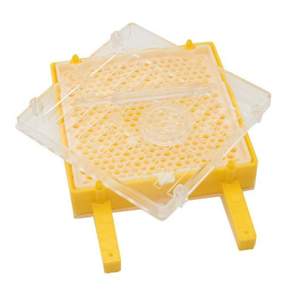 Beekeeping Kit Queen Bee Rearing System Larva Move Cage Beekeeper Supplies