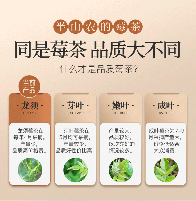 maoyan miecha tengcha natural health herbal tea