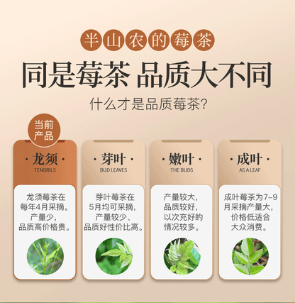 maoyan miecha tengcha natural health herbal tea