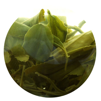 250g/8.8oz Premium Suzhou Biluochun Green Tea Spring Organic PiloChun