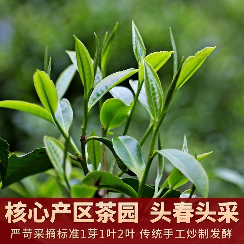 Premium Yunnan Authentic Fengqing Ancient Tree Black Tea One Leaf Golden Needle