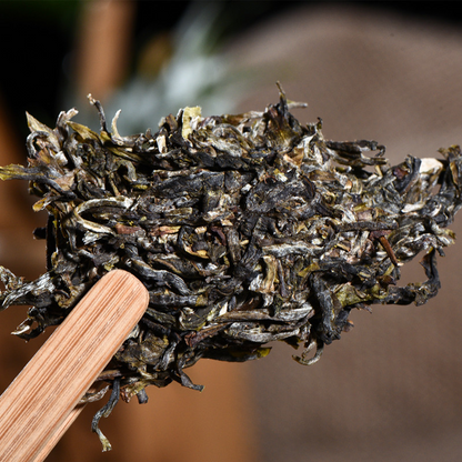 357g Spring Cha Tea High Mountain Ancient Tree Pu-erh Tea Organic Green Tea