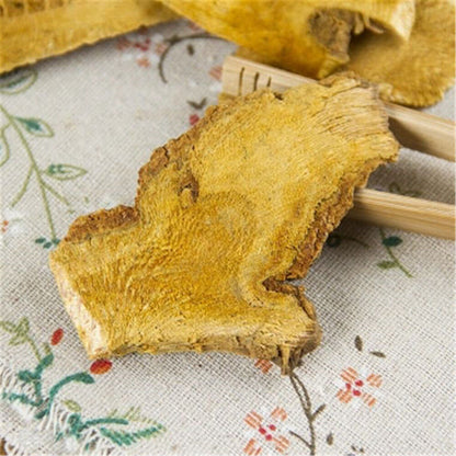 100%Natural Knotweed Fallopia Japonica Polygoni Cuspidati HuZhang Chinese Herbal