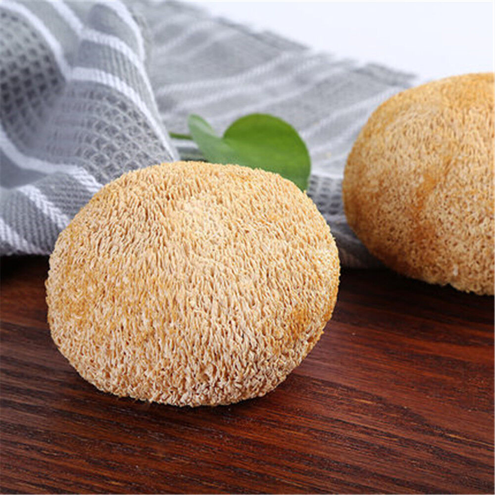 100% Organic Natural Dried Lion's Mane Mushroom Chinese Herbs Healthy Care 500g