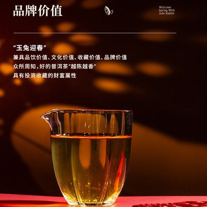 Pu'er Tea, 2021, Chen Shenghao, Jade Rabbit Yingchun Jade Rabbit Yingchun, 357 grams, raw