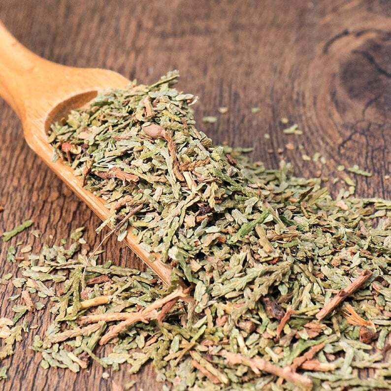 Organic Herbal Cacumen Platycladi Chinese Arborvitae Twig Great Quality