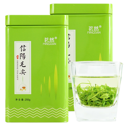 250g/8.8oz New Green Tea Xinyang Maojian Tea Mao Jian China Weight Loss tea