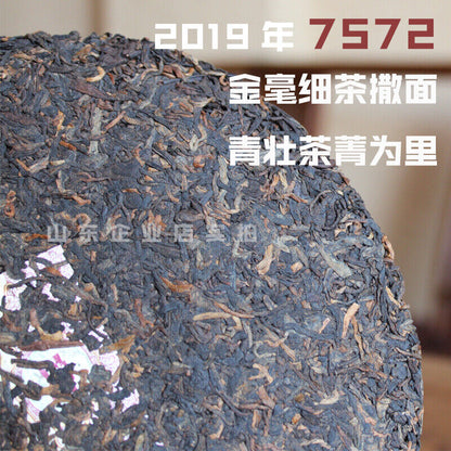2019 Dayi Taetea Classic 7572 Menghai Pu'er Pu-erh Tea Cake Ripe Puer 357g