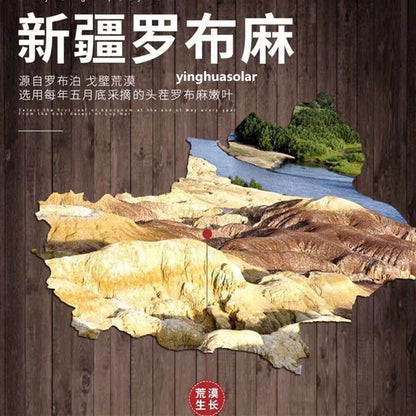 500g罗布麻茶新疆原产嫩叶新货野生天然降血压血糖血脂 Apocynum Venetum Reduce Blood Press Sugar Herbal Tea