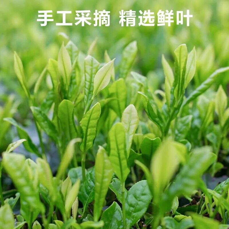 250g Early Spring Huoshan Huangya Top Grade Yellow Tea Silver Needle Green Tea