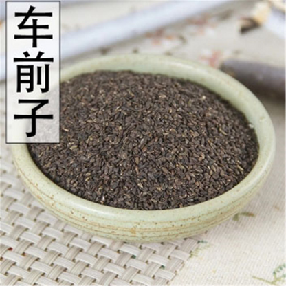 250克车前子车前子车前子车前子车前子天然车前子