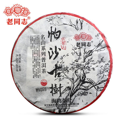 500g 2022 Haiwan Famous Mountain Aged Tree Raw Puer Pa Sha Gu Shu Sheng Puer Tea