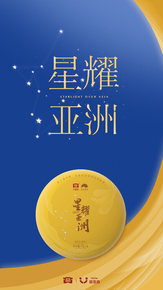 STARLISHT OVER ASIA Yunnan Menghai Dayi Pu Er Tea Ripe PuEr Cake 357g 2017 Ripe