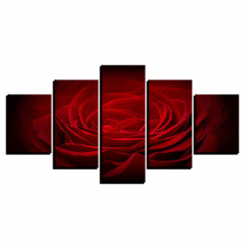 Closeup Red Rose Flower Art 5 Pcs Canvas Wall Art Painting Poster Home Decor