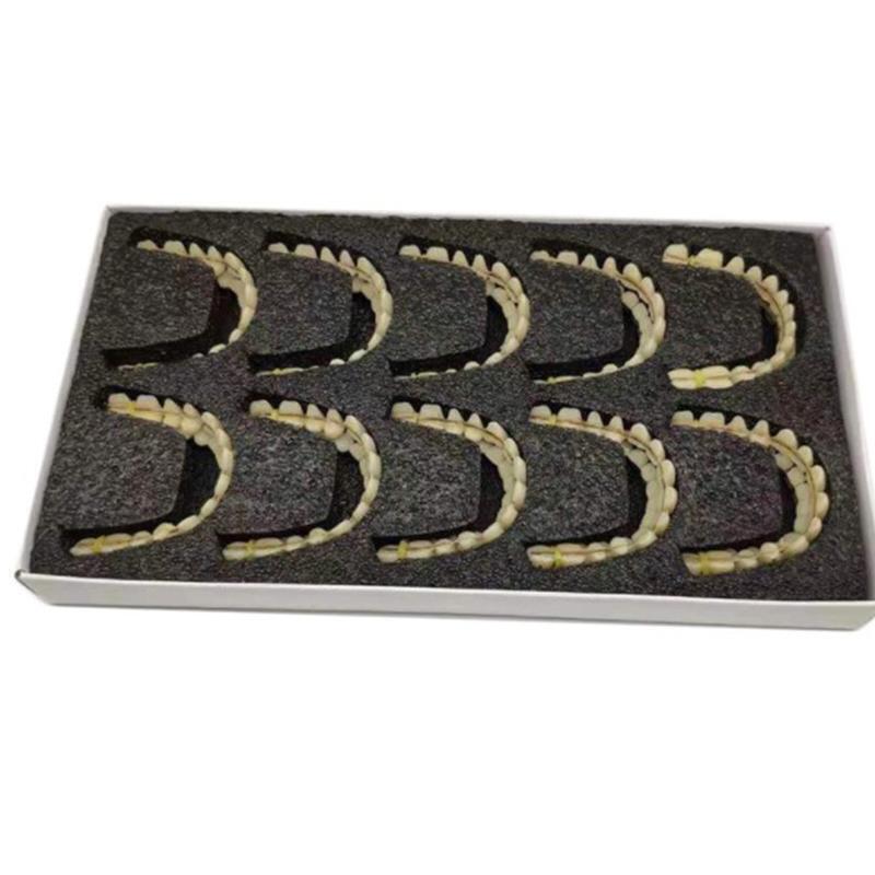 New Perfect Smile Veneers in Stock Teeth False Denture Bad Teeth Veneers Teeth W