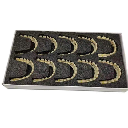 New Perfect Smile Veneers in Stock Teeth False Denture Bad Teeth Veneers Teeth W