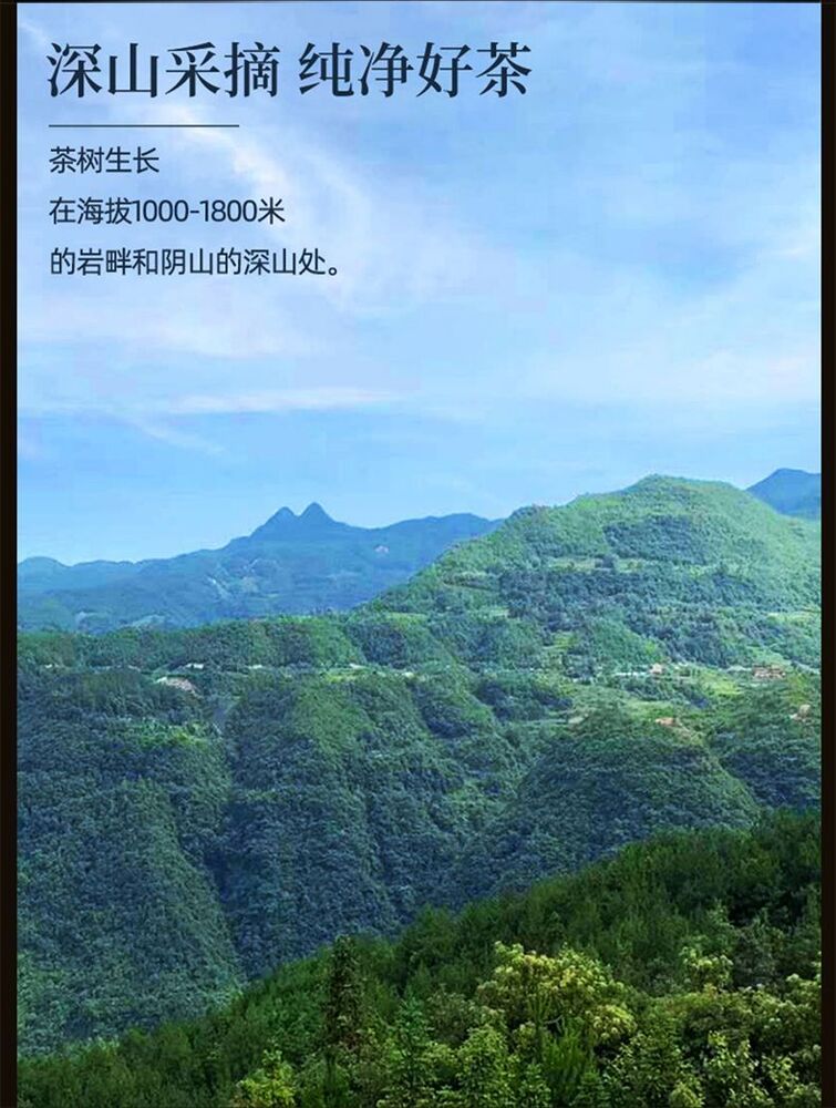 Chongqing Specialties LaoYing Tea Chinese herb tea 老鹰茶特级重庆特产正宗老荫茶红白茶火锅茶叶凉茶