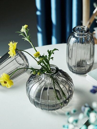 Relief Small Glass Vase Hydroponic Terrarium