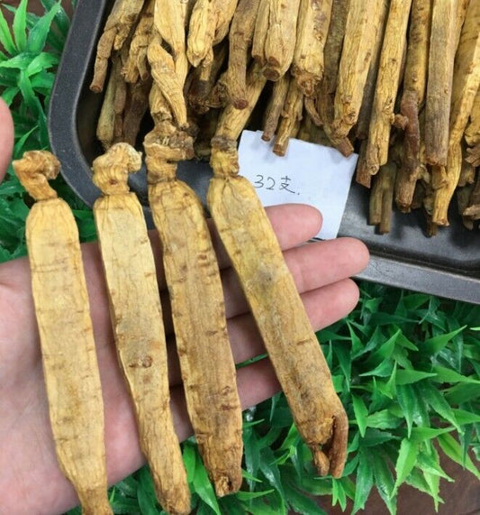 Red Ginseng Root Offer 10 Years Dried Ginseng Root Natural Panax Korean Red Ginseng-