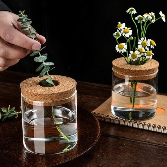 Glass Decorative Vase Hydroponic Glass Bottle Hydroponic Ecological Bottle