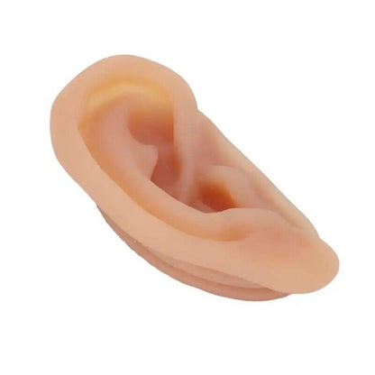 Ear Model Silicon Simulated Piercing Acupuncture Practice Tool W/ Display Stands