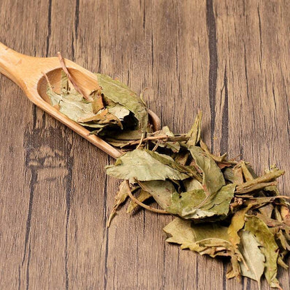 Organic Herbal Folium Rhododendri Dahurici Dahurian Rhododendron Leaf Quality
