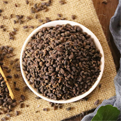 100% Natural Ligustri lucidi Fructus Nv Zhen Zi 女貞子 Chinese Herb