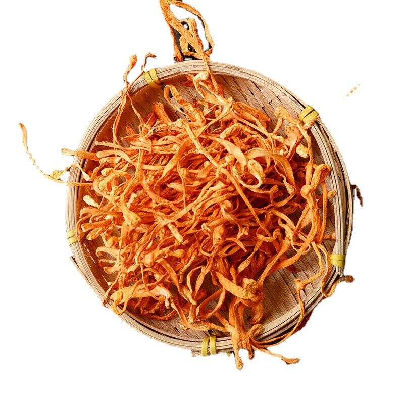 50g-500g Ecology Cordyceps Militaris/Chong Cao Hua China Herbal Cordyceps Flower