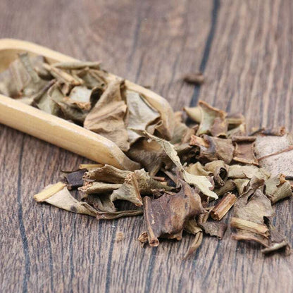 Organic Herbal Pyrrosiae Folium Pyrrosia Lingua Great Quality