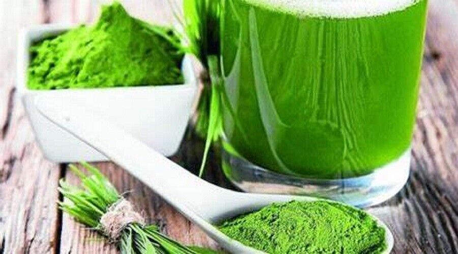 MATCHA POWDER Green Tea 100% Certified Organic (Camellia sinensis) PREMIUM GRADE