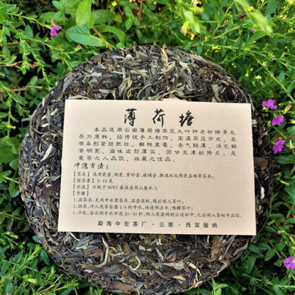 357g Ancient Tree Pu'er Green Tea Zhonghong India Mint Tang Pu'er Cha Tea