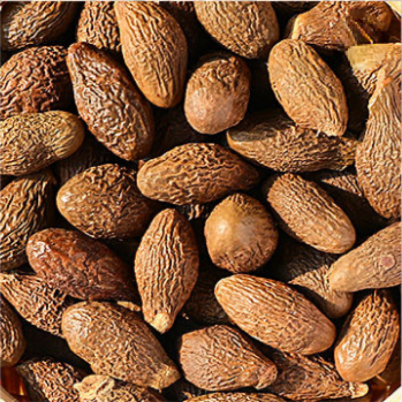 120g Dried Malva Nut Tea Pang Da Hai Herbal Tea Sterculia Lychnophora Herbs Tea