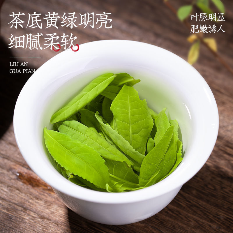 Liu'an Gua Pian New Tea Beforerain Handmade Spring Tea High Mount Green Tea 150g