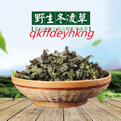 Dong Ling Cao Tea/Chinese herbal 野生冬凌草茶 济源冬凌茶 冬凌草纯叶新鲜 长期呵护咽喉 清咽润喉 500g