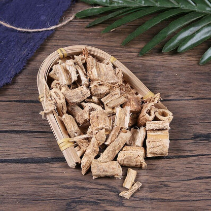 Herbal Twig of Common Claoxylon Diulebang Claoxylon Indicum Great Quality