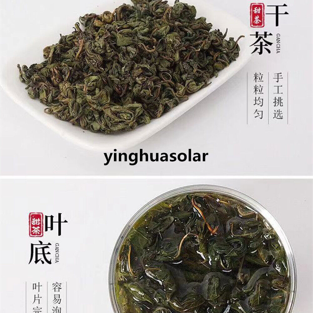 Guangxi Guilin Natural Herbal 舌尖上的中国 广西桂林大瑶山野生甜茶天然无糖刺儿茶 止咳化痰咽喉肿痛
