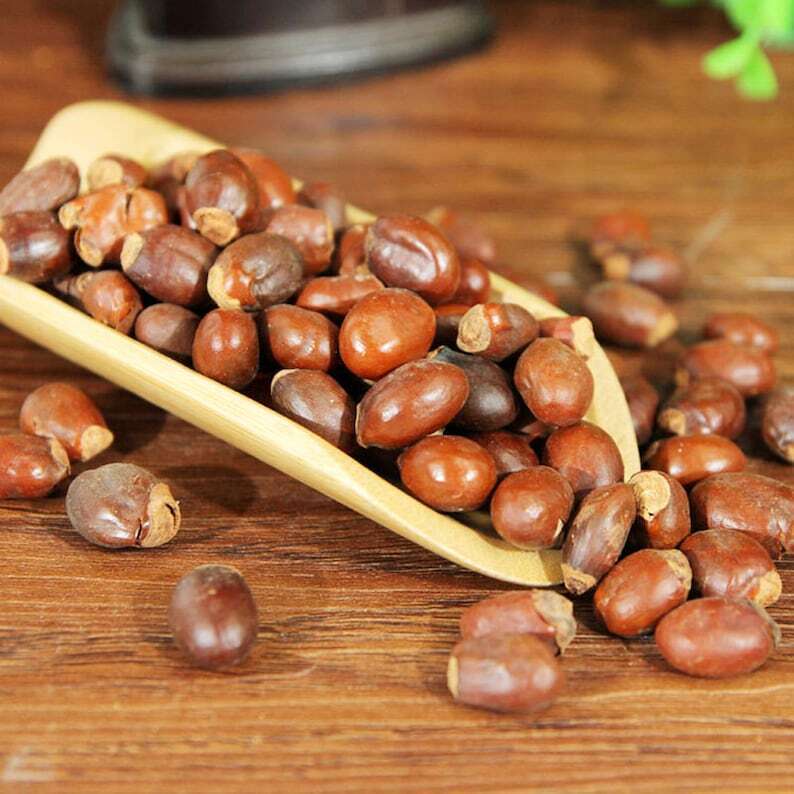 Organic Herbal Lychee Seed Litchi Chinensis Sonn. Semen Litchi Great Quality