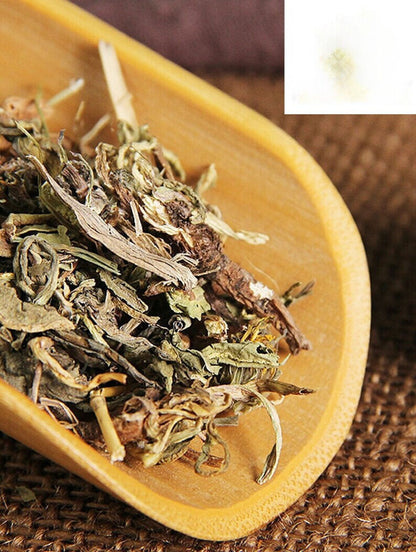 PuGongYing/蒲公英/Dried Loose LeavesMongolianDandelion / Herba Taraxaci