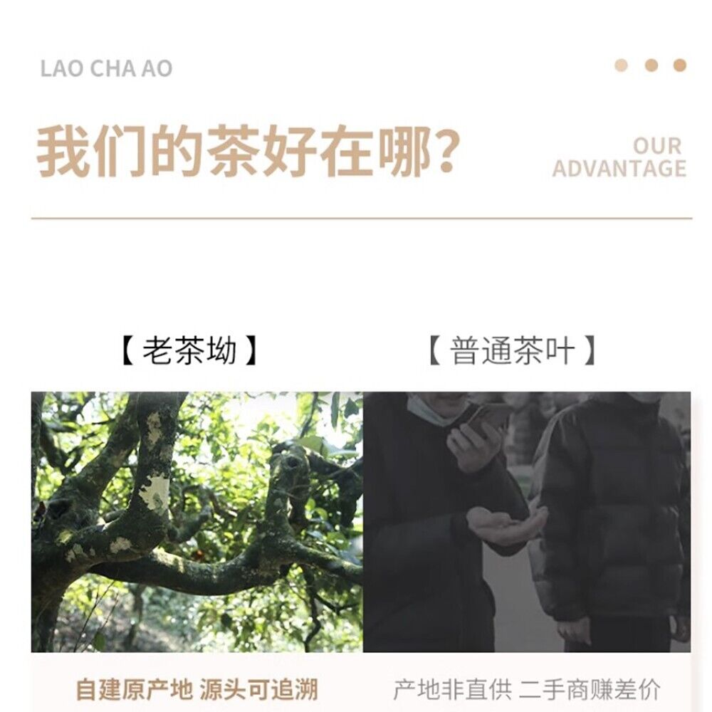 普洱茶，2016，景邁 京麦，357克。未经加工的
