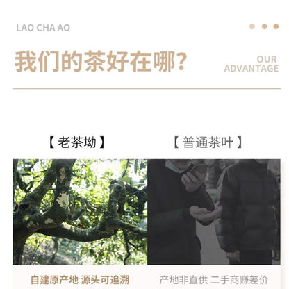 普洱茶，2016，景邁 京麦，357克。未经加工的
