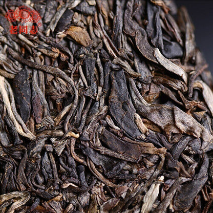 2020 Haiwan Shen Puer Batch 201 "Remote Mountain, Old Tree" Raw Puerh tea 500g