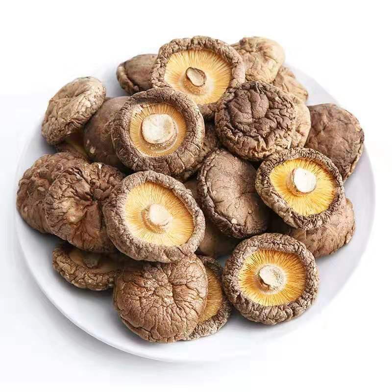 Dried Shiitake Mushrooms Organic Grown Mushrooms Premium Natural Fungus