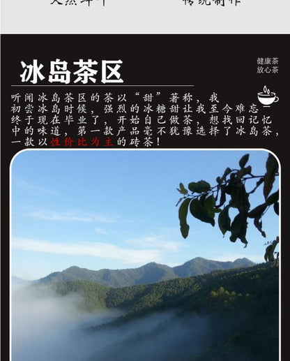 2021 Yunnan Big Tree Spring Tea 冰岛砖普洱茶生茶茶砖 2021大树春茶 云南茶叶砖茶普洱生普茶