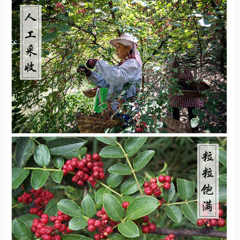 250g Red Pepper Healthy Herbal Sichuan Peppercorn Huajiao for Cooking and Soup