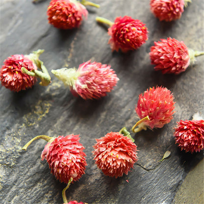 Hongqiao Plum Blossom Qian Ri Hong Herbal Tea Flowers Tea Pure Organic Bulk-