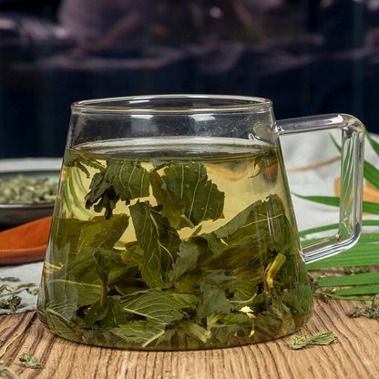 Mentafollia Ecology Dried Mint Tea Peppermint Leaf Herbal Tea Top Pennyroyal Tea