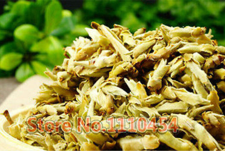 250g Bacillus Spore Organic Puer White Tea Wild Tree Spring Bud cha Tea Anti-old