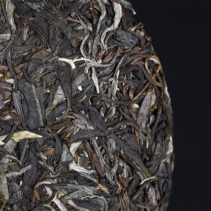 Haiwan Sheng Puer Tea Dong Guo Village Ancient Tree Puerh Tea 500g